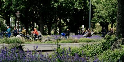 Studenten onderzoeken hoe de Mytylweg veiliger en aantrekkelijker kan worden