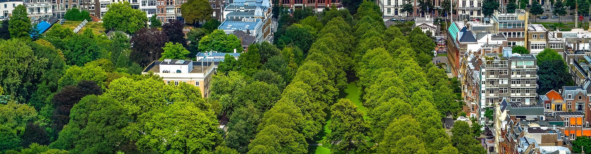 Wijken van de toekomst: gezond, klimaatadaptief en biodivers