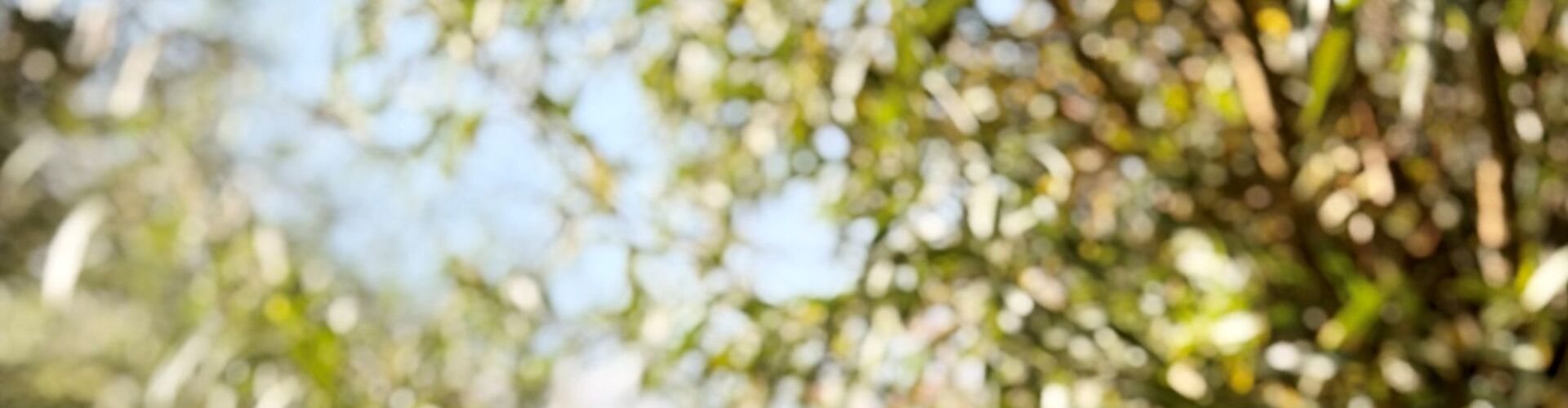 Spannende fase is aangebroken