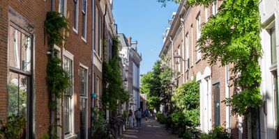 Je leefomgeving verbeteren? Ga aan de slag in je eigen tuin!