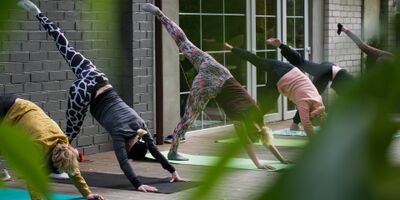 Studium Generale: Voorkomen is beter dan genezen